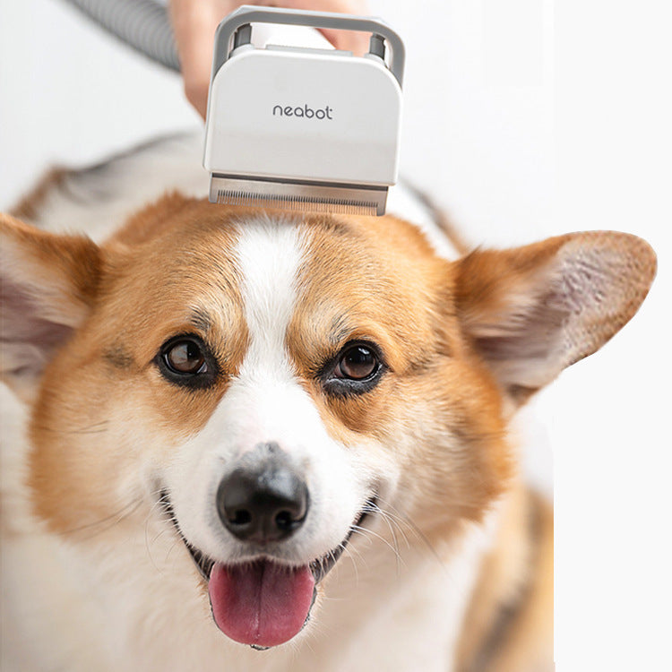 Pet Grooming Kit