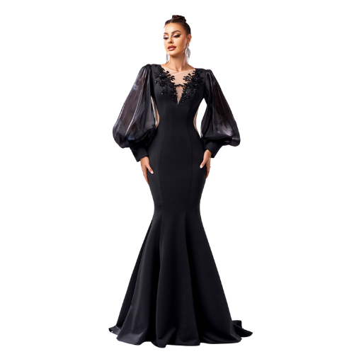 Applique Fishtail Gown